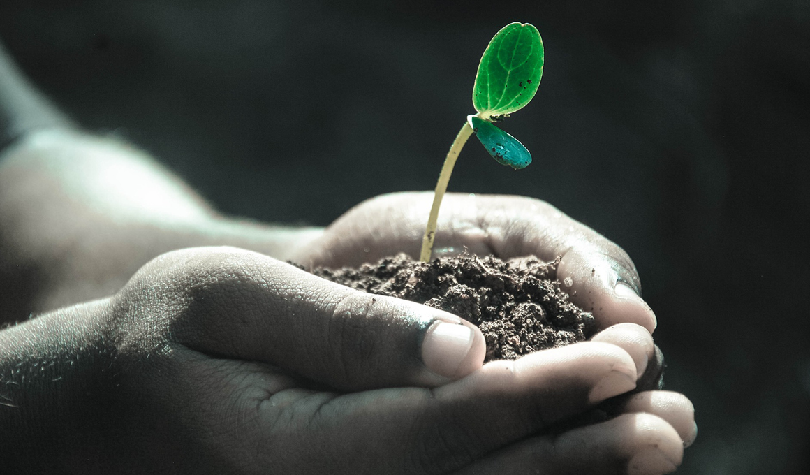 Soil Testing for Health & Productivity_1160X680 px