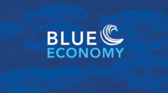 blue economy pic 2