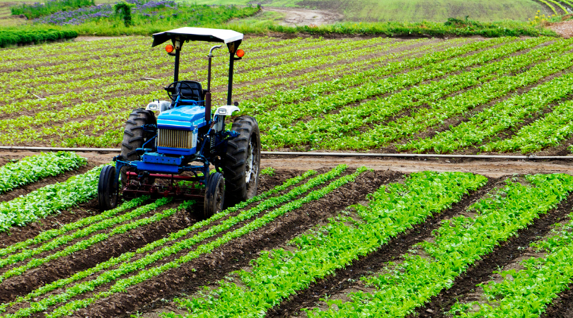 farmers pic 4