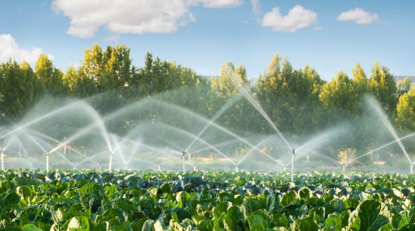 irrigation pic 1