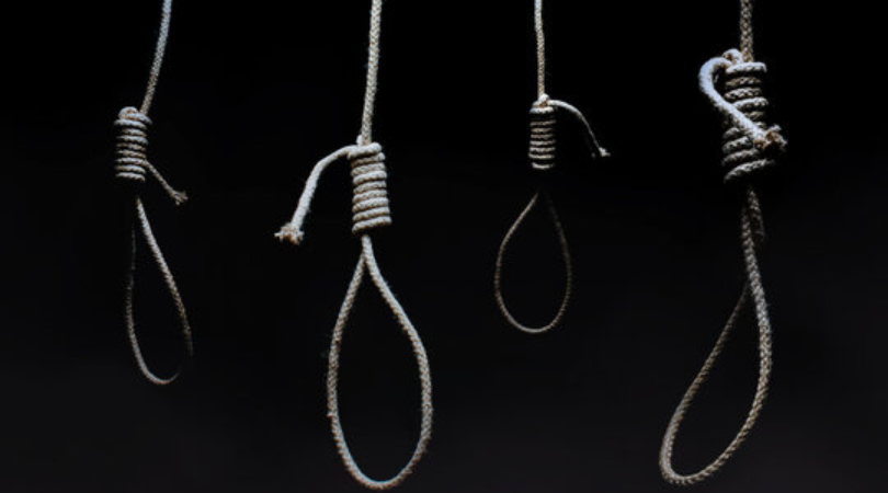 noose