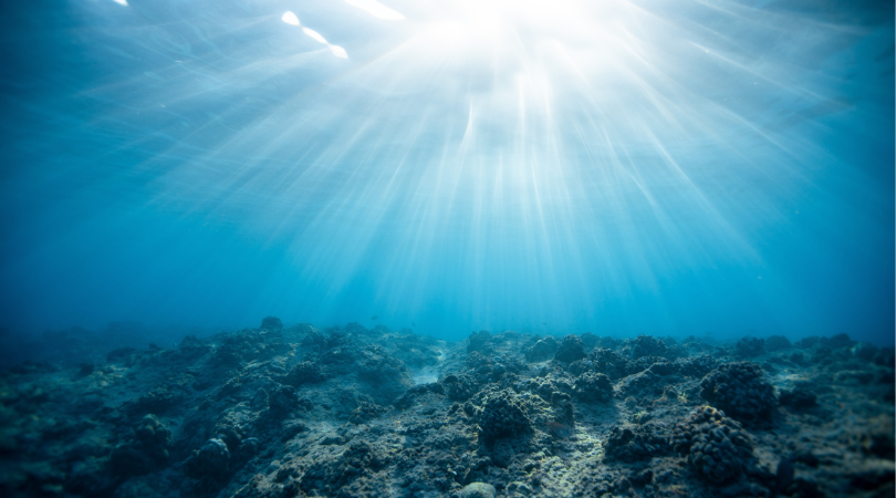 ocean 4